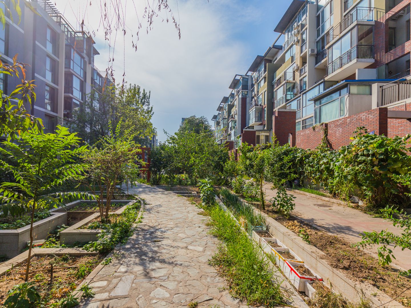 样本 - Beijing property leasing for expats