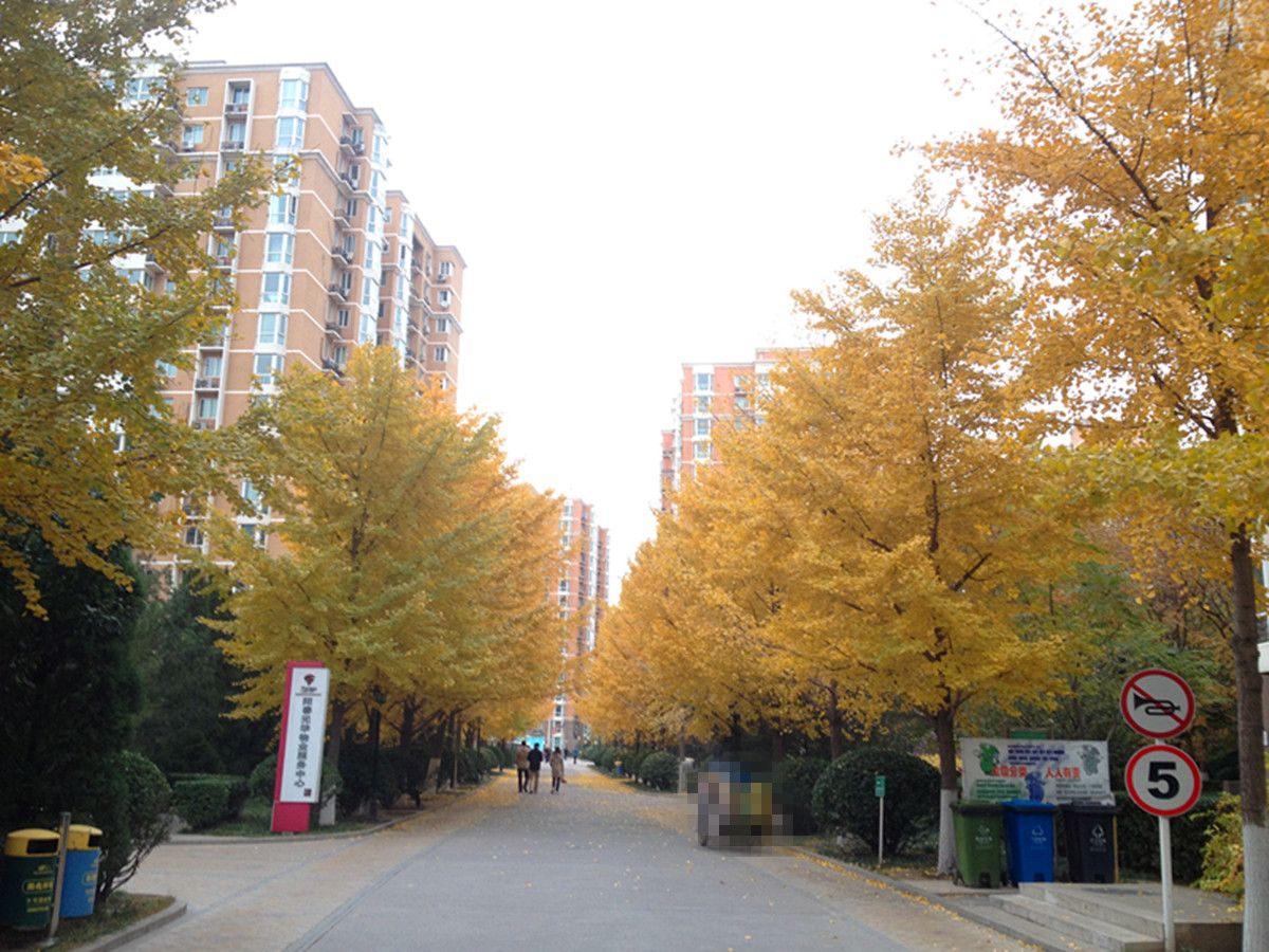 阳春光华家园 - Beijing property leasing for expats