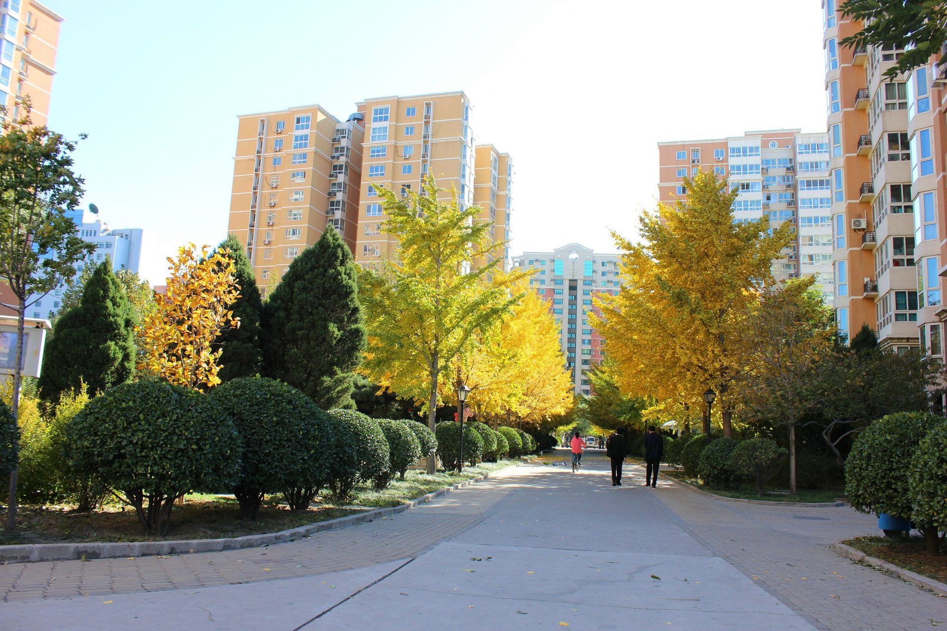 阳春光华家园 - Beijing property leasing for expats