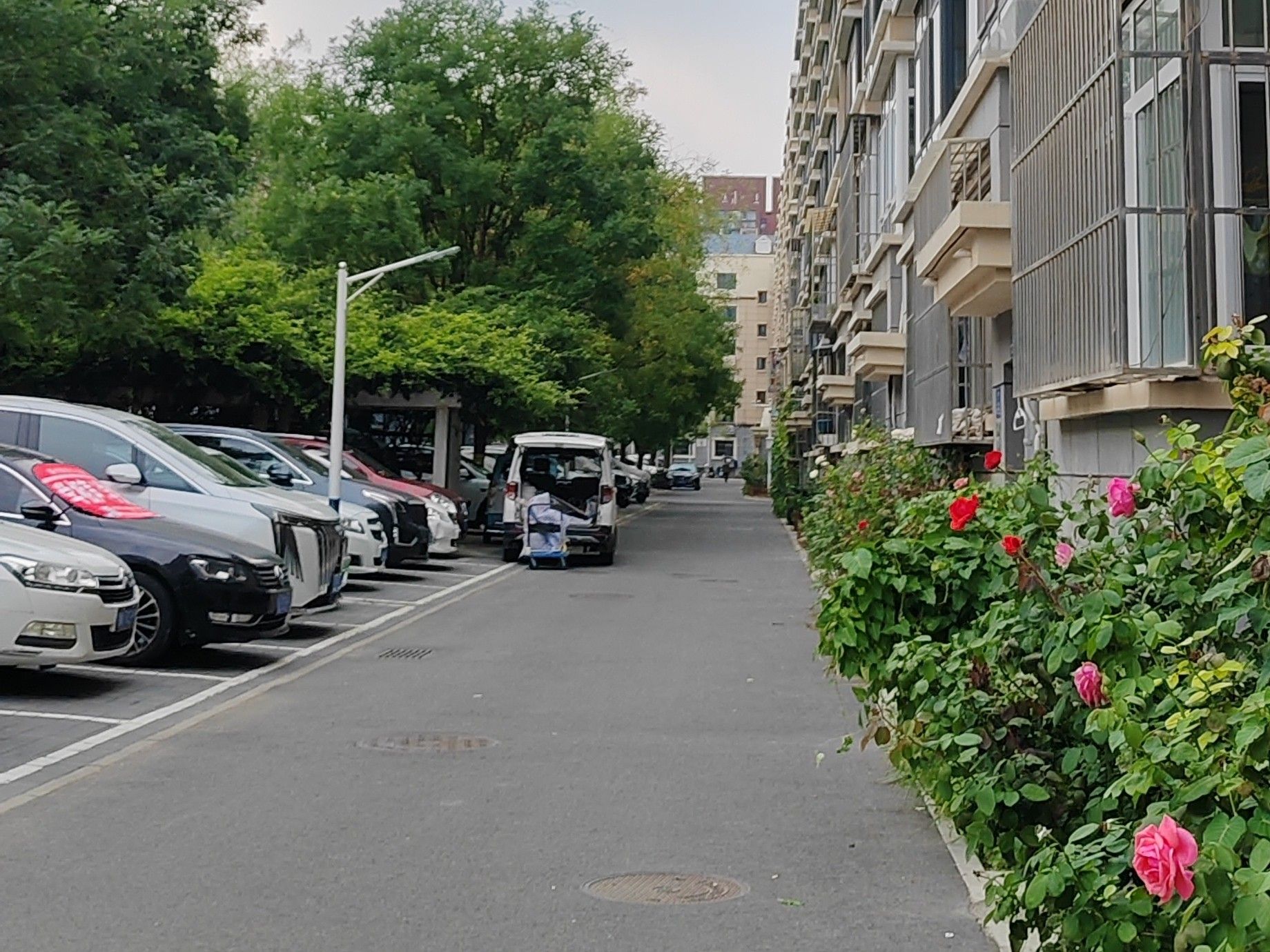 怡乐北街 - Beijing property leasing for expats