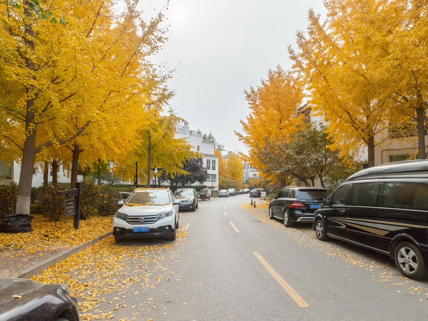 赢海庄园 - Beijing property leasing for expats