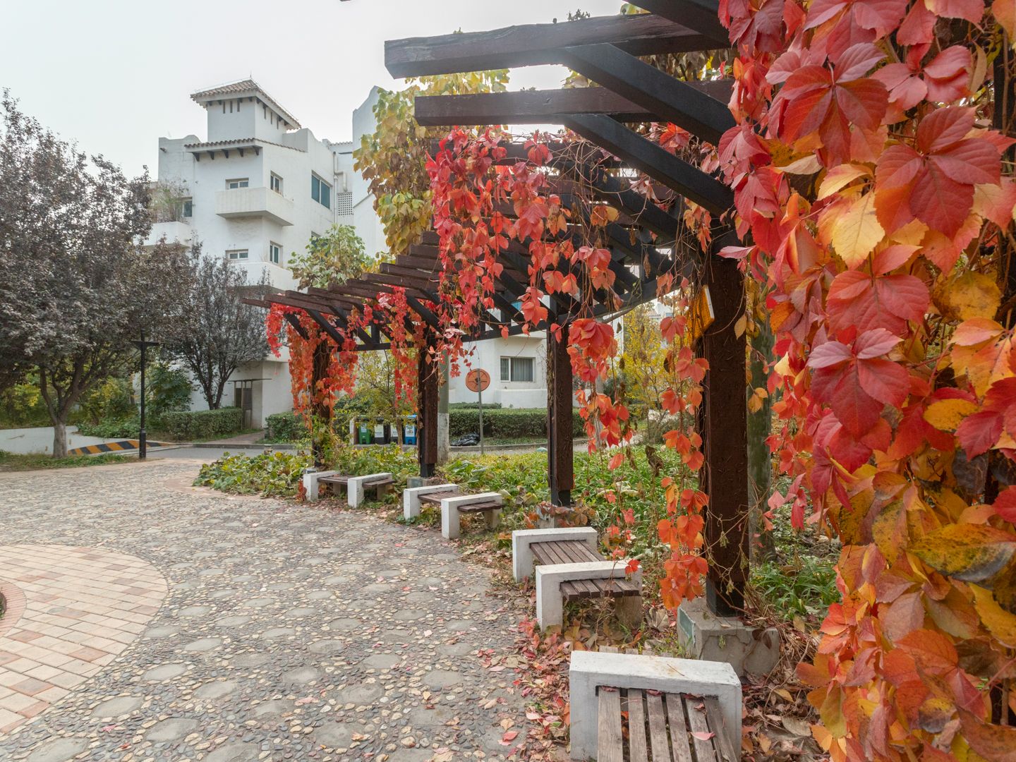 赢海庄园 - Beijing property leasing for expats