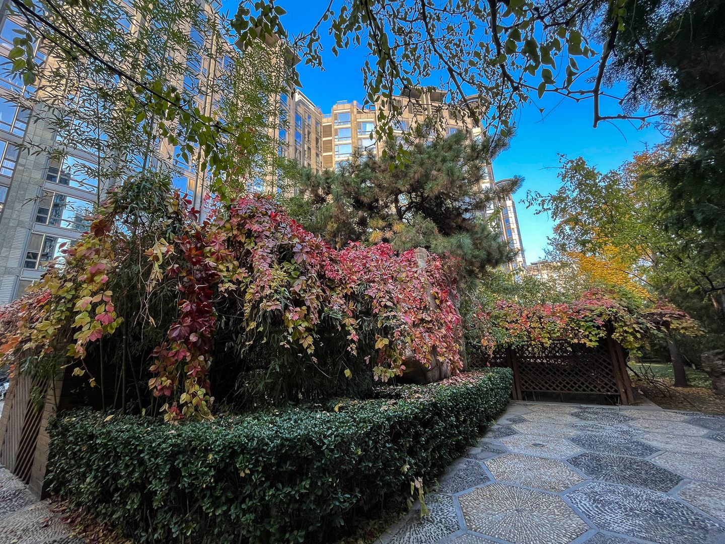 一瓶 - Beijing property leasing for expats