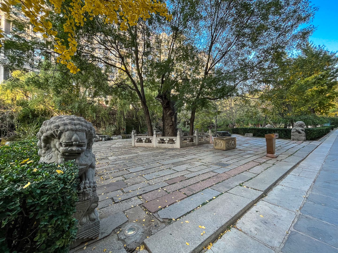 一瓶 - Beijing property leasing for expats