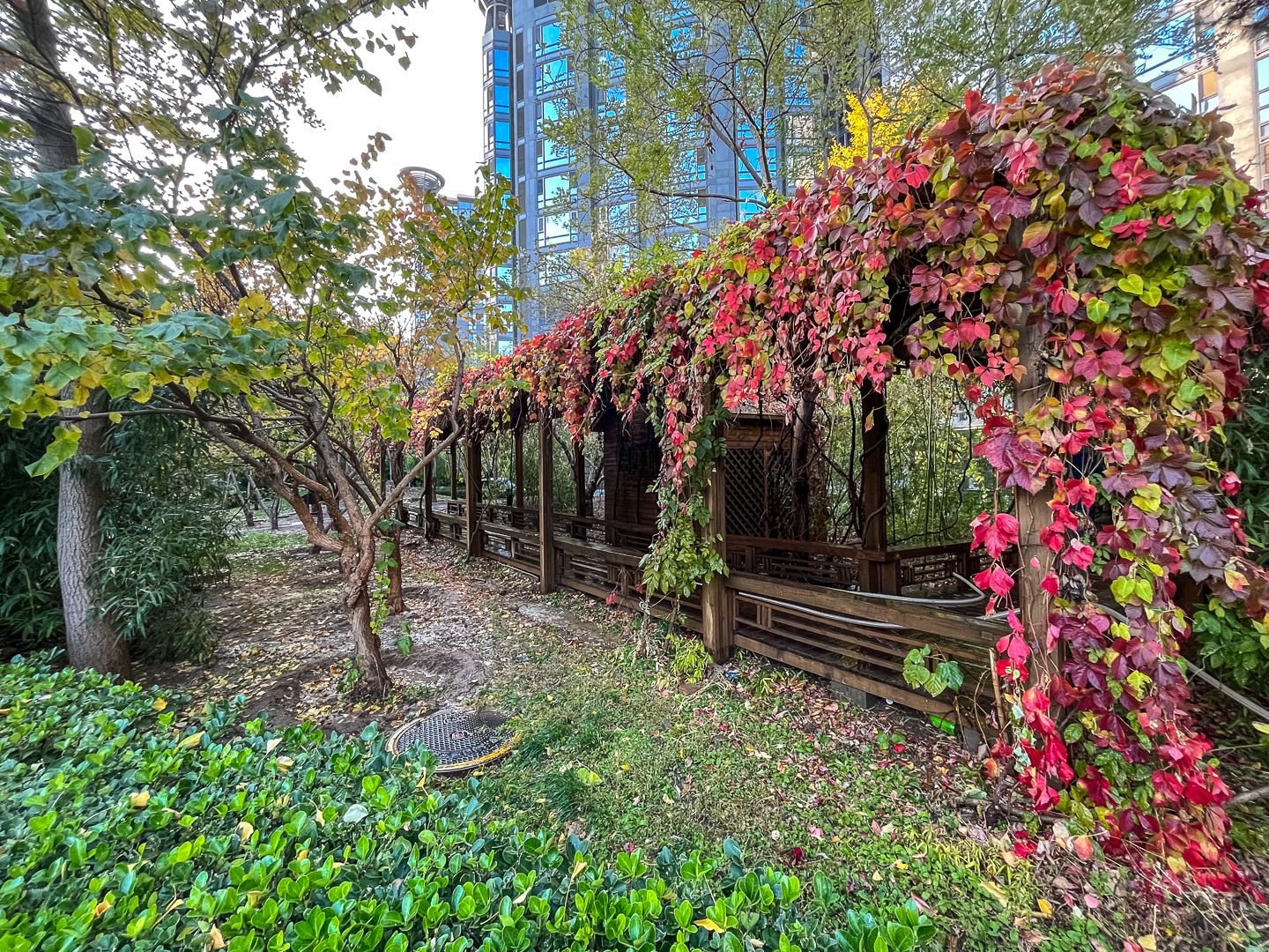 一瓶 - Beijing property leasing for expats