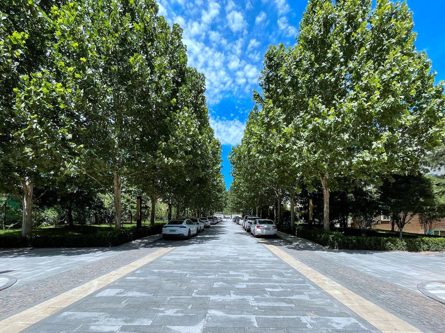 宜山居 - Beijing property leasing for expats