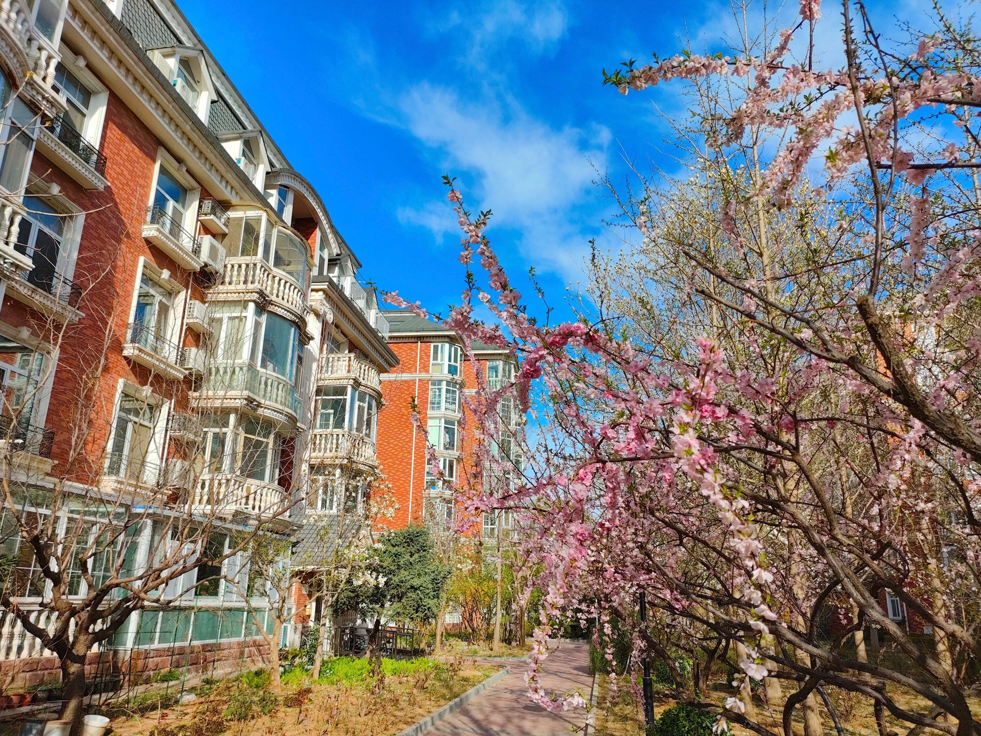 圆明园花园别墅 - Beijing property leasing for expats