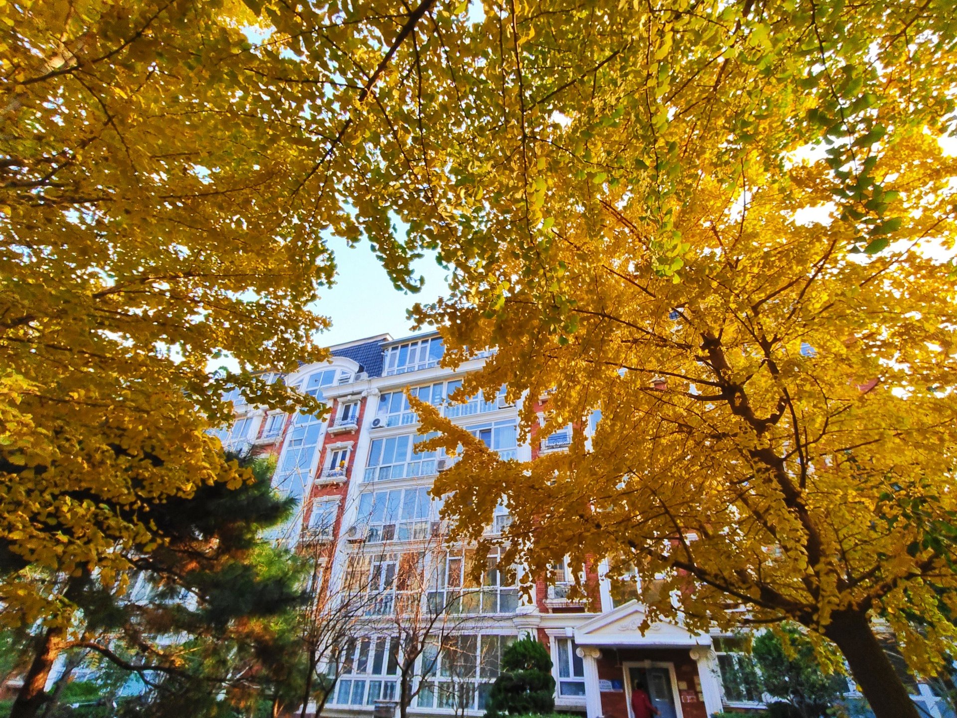 圆明园花园别墅 - Beijing property leasing for expats