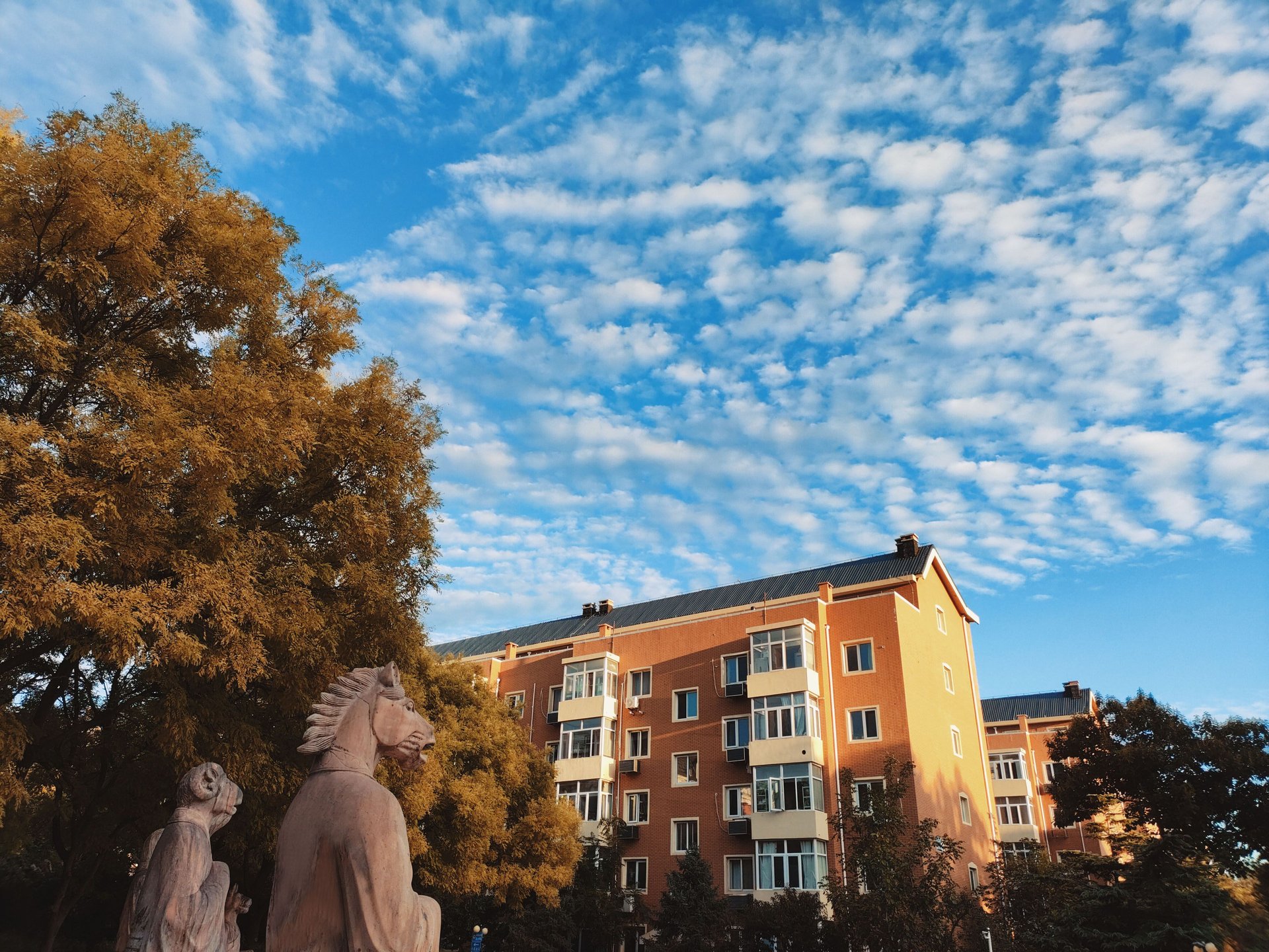 圆明园花园别墅 - Beijing property leasing for expats