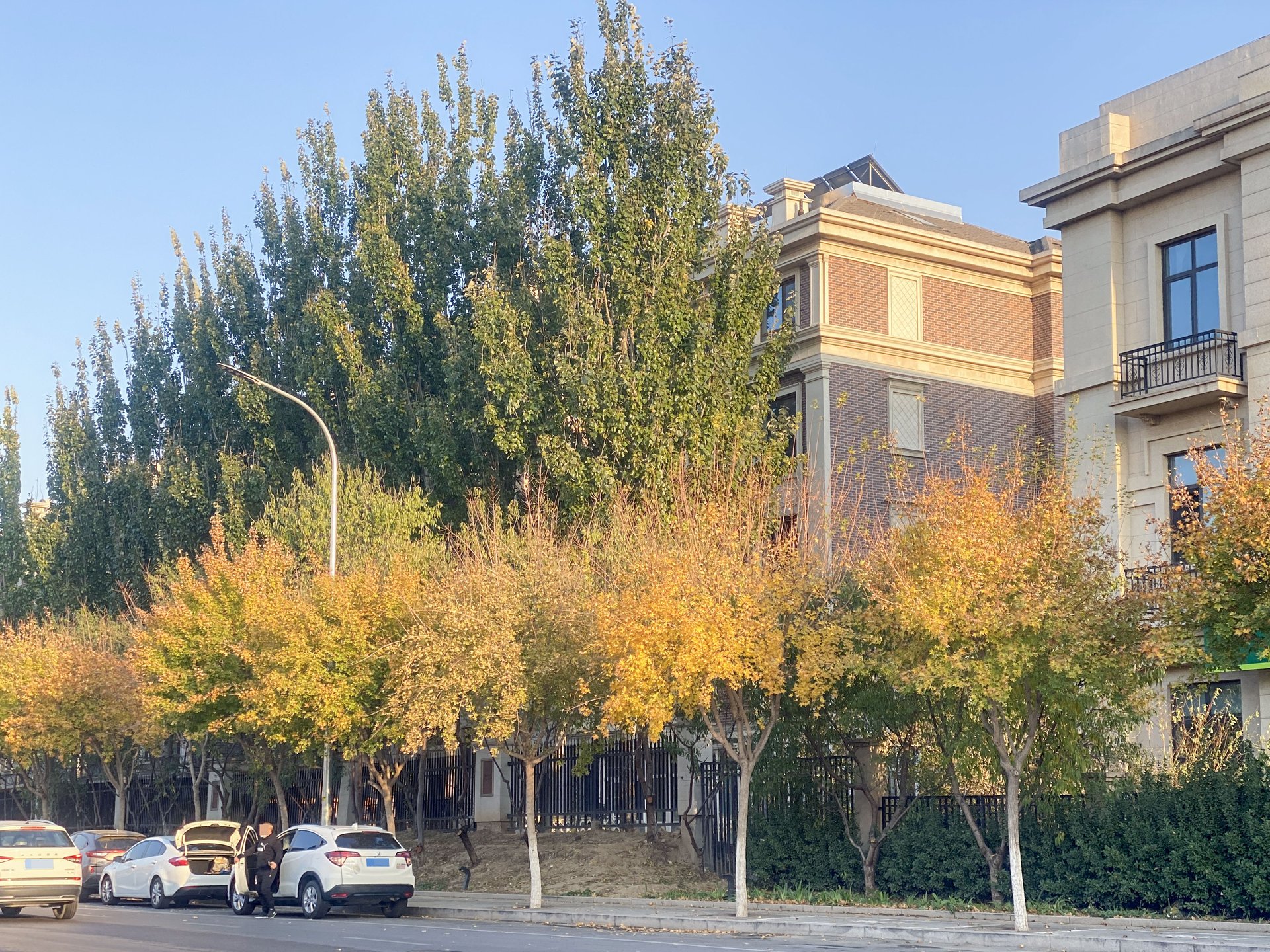 远洋天著二期 - Beijing property leasing for expats