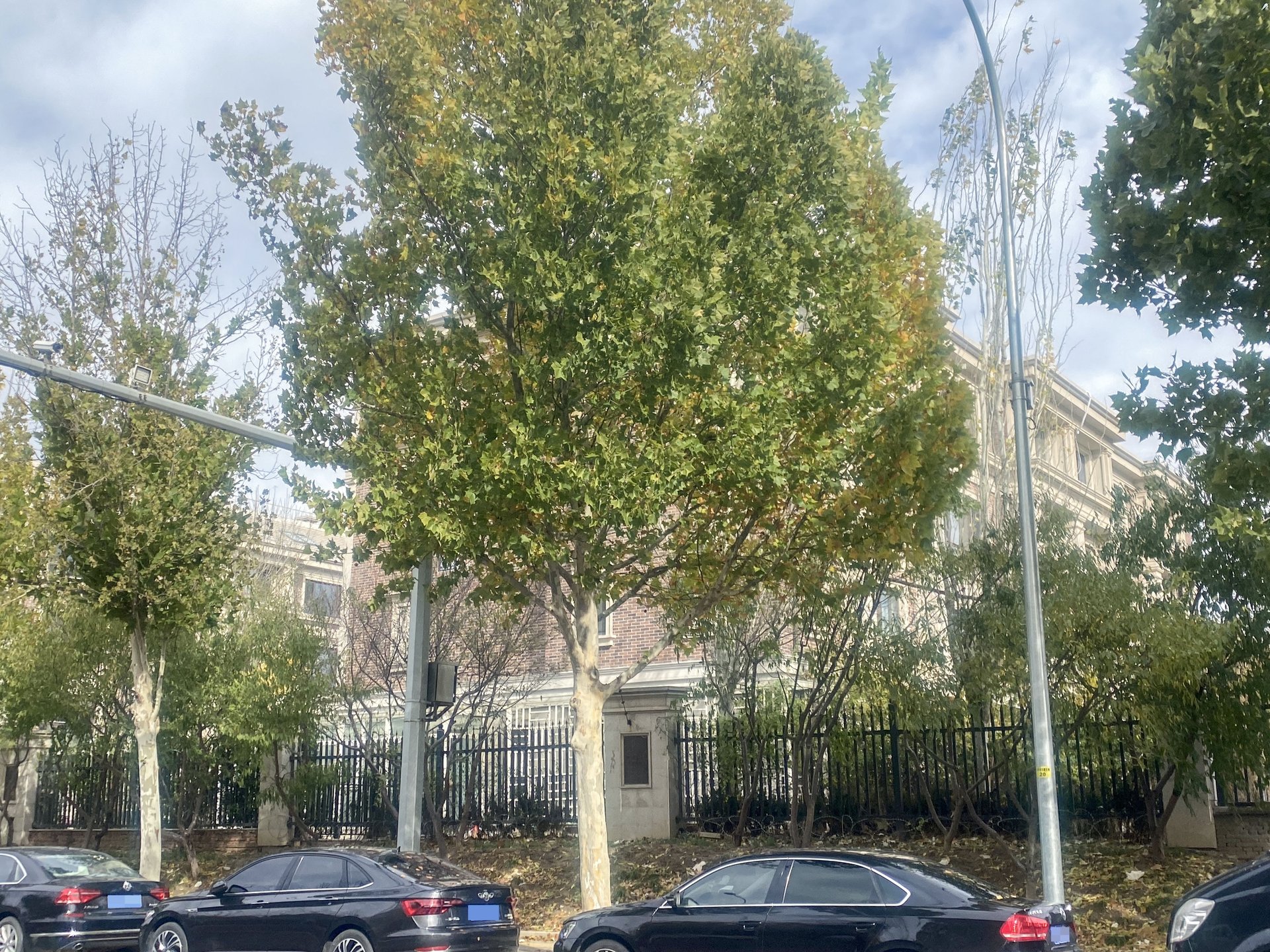 远洋天著三期 - Beijing property leasing for expats