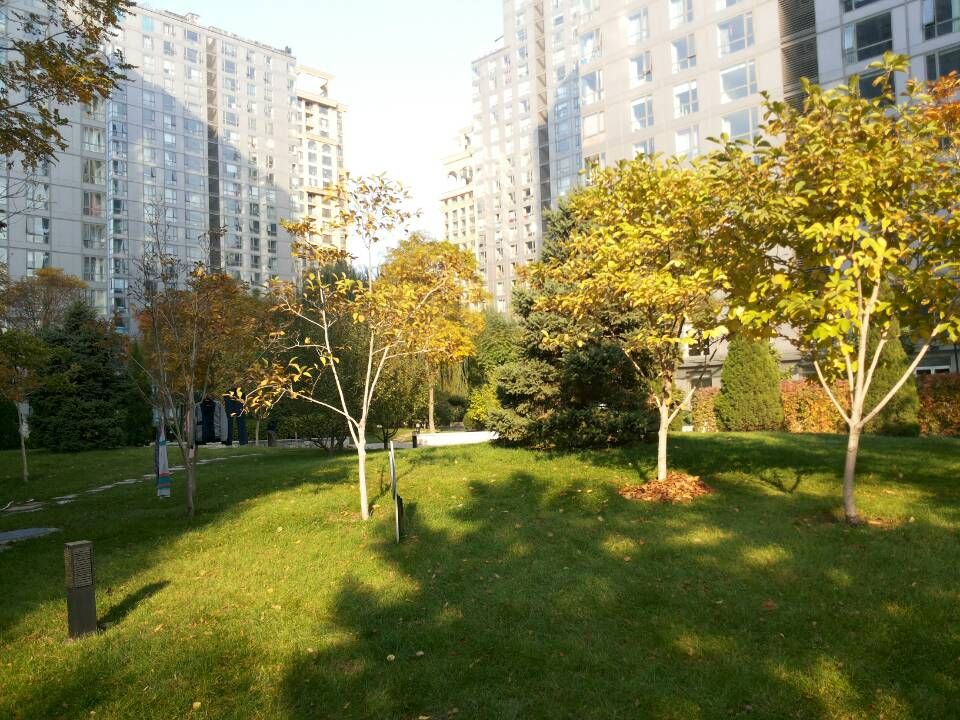 远洋新干线 - Beijing property leasing for expats