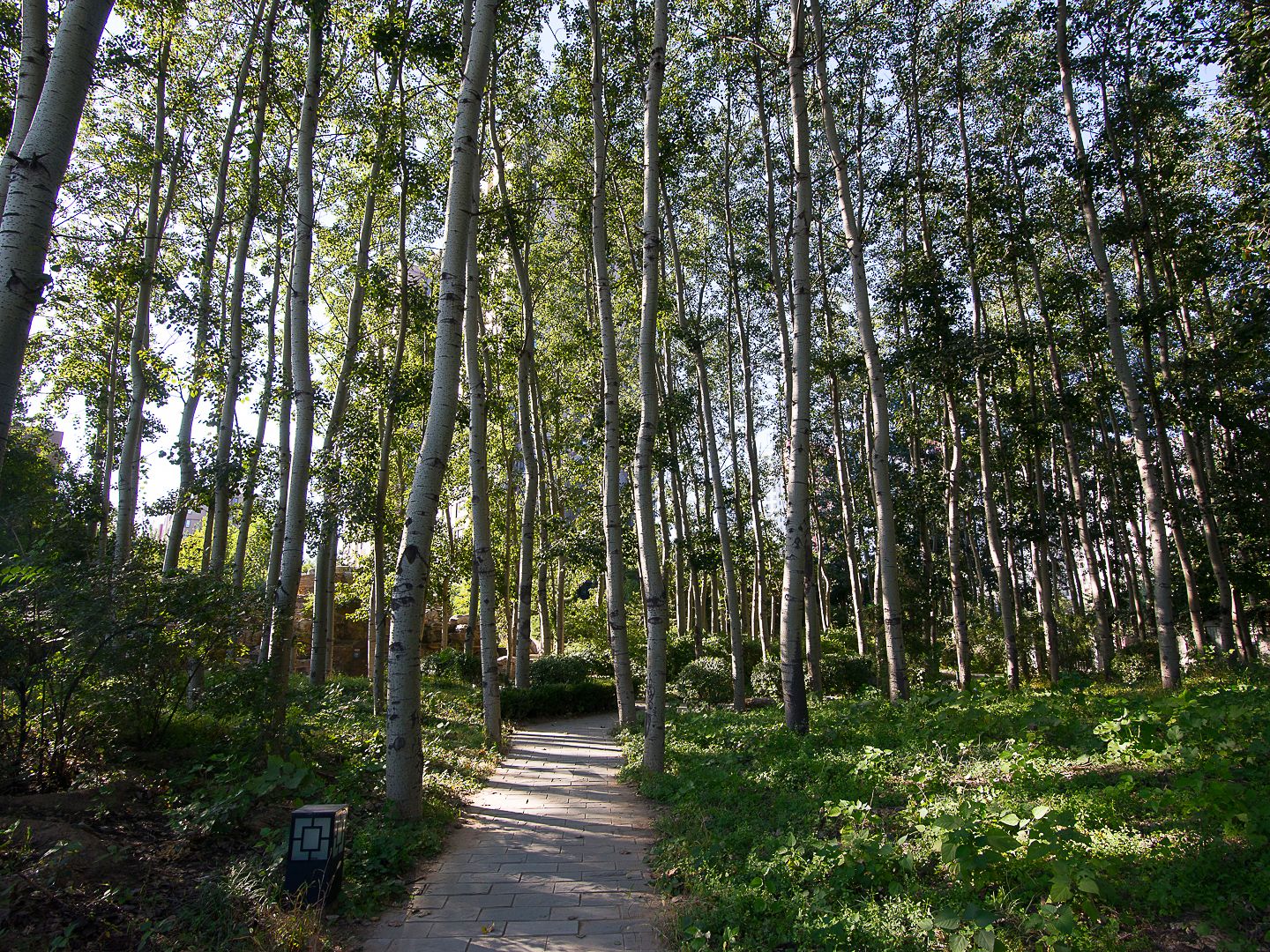 远洋一方林语苑 - Beijing property leasing for expats