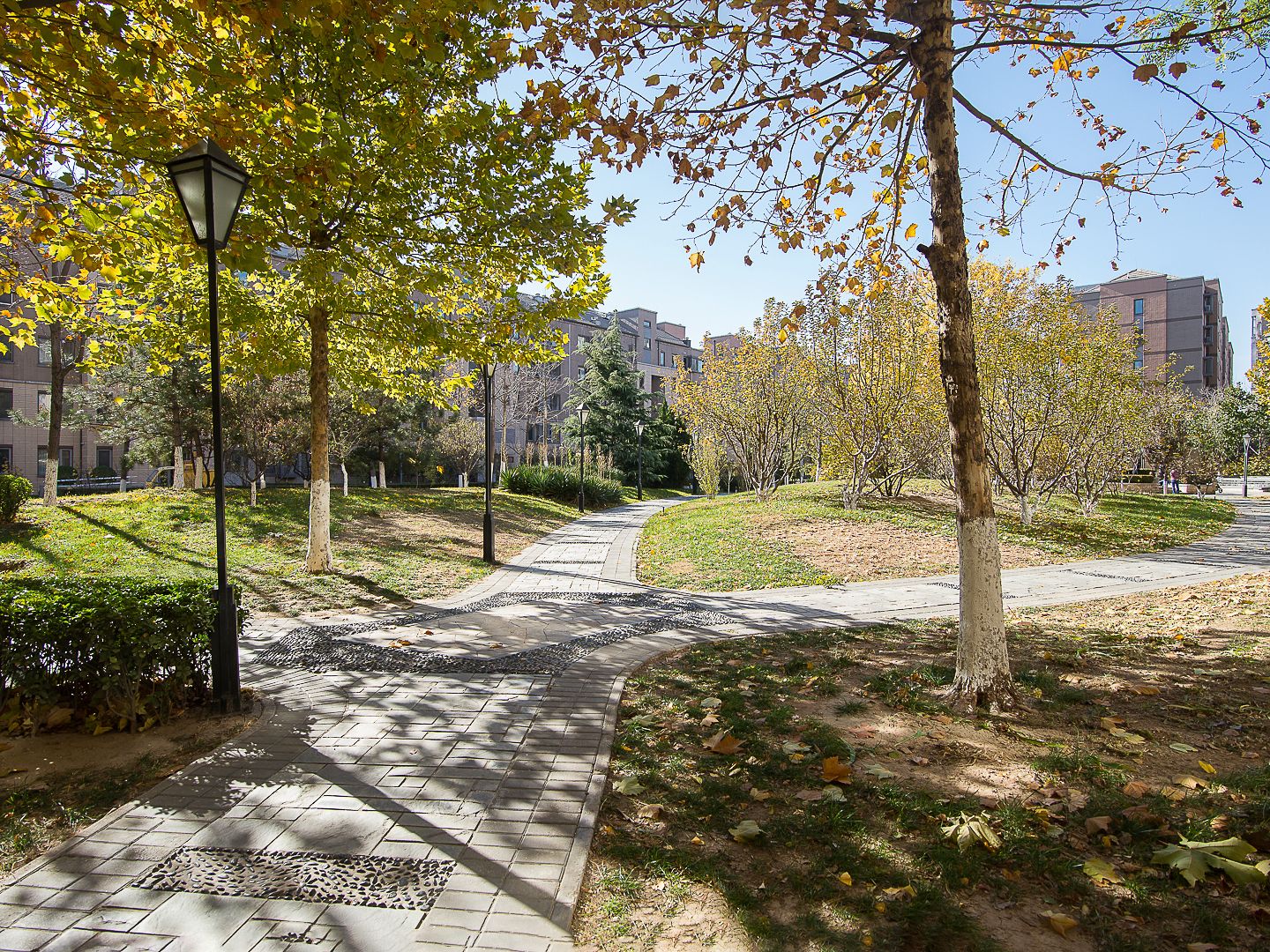 远洋一方润园2号院 - Beijing property leasing for expats