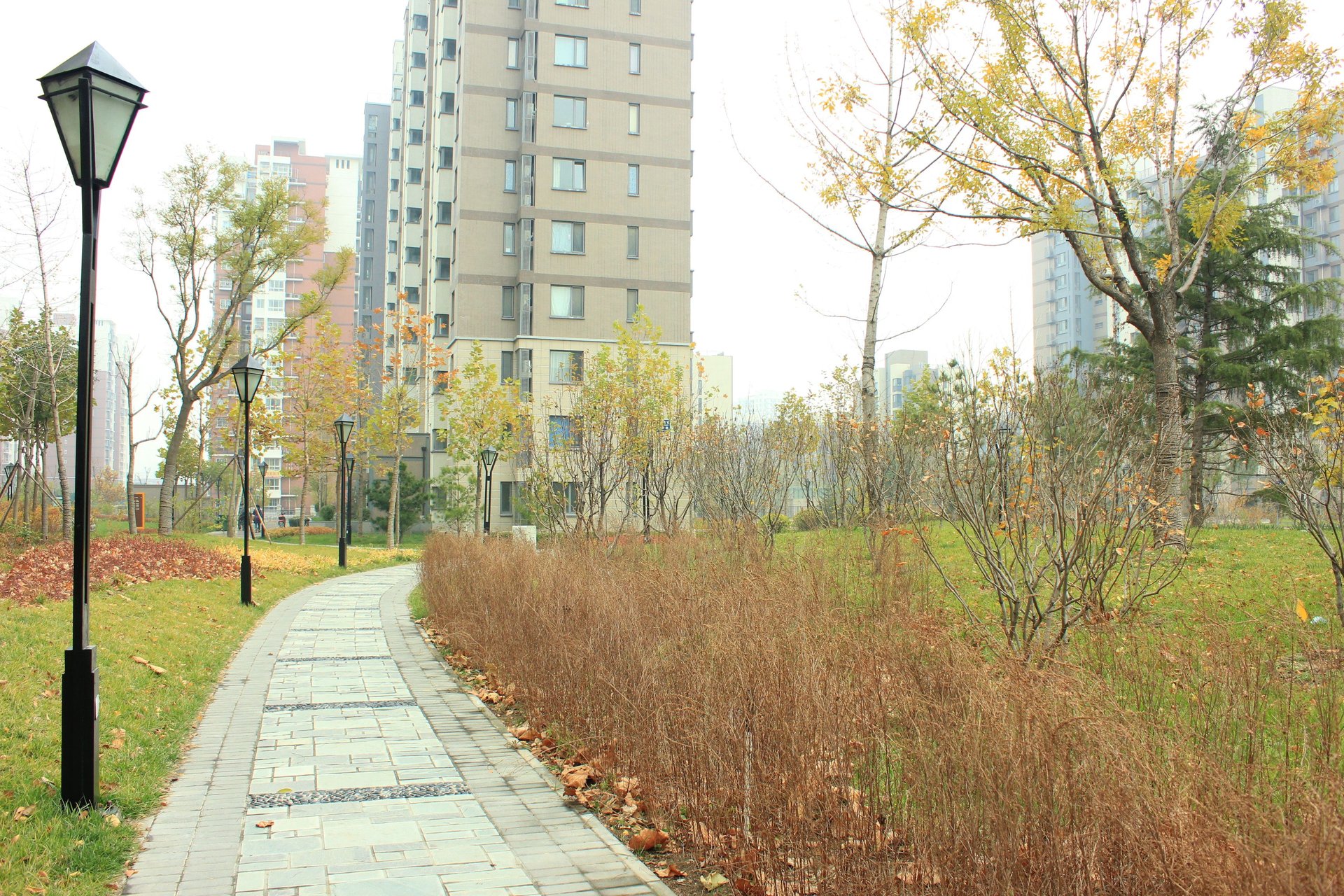 远洋一方润园2号院 - Beijing property leasing for expats