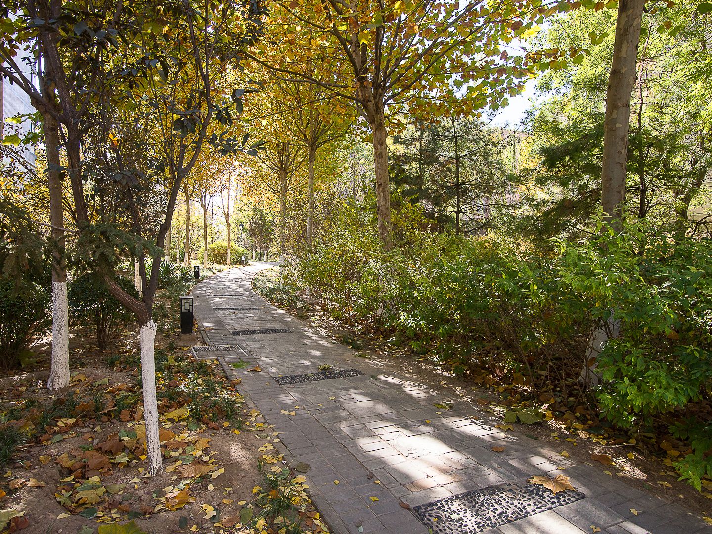 远洋一方润园2号院 - Beijing property leasing for expats