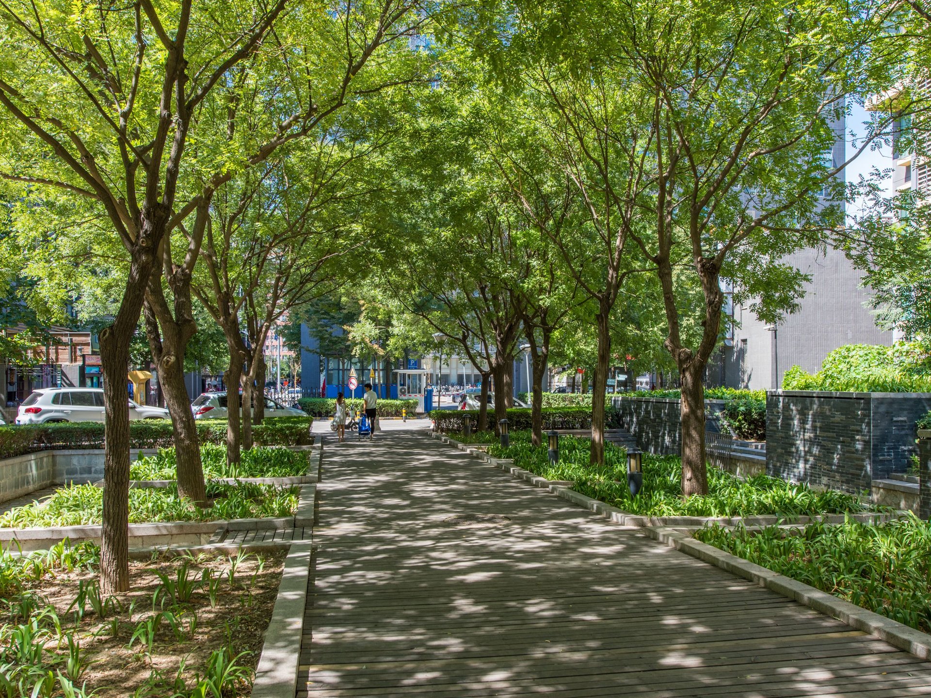 Ocean Nature - beijing expat housing photo 9