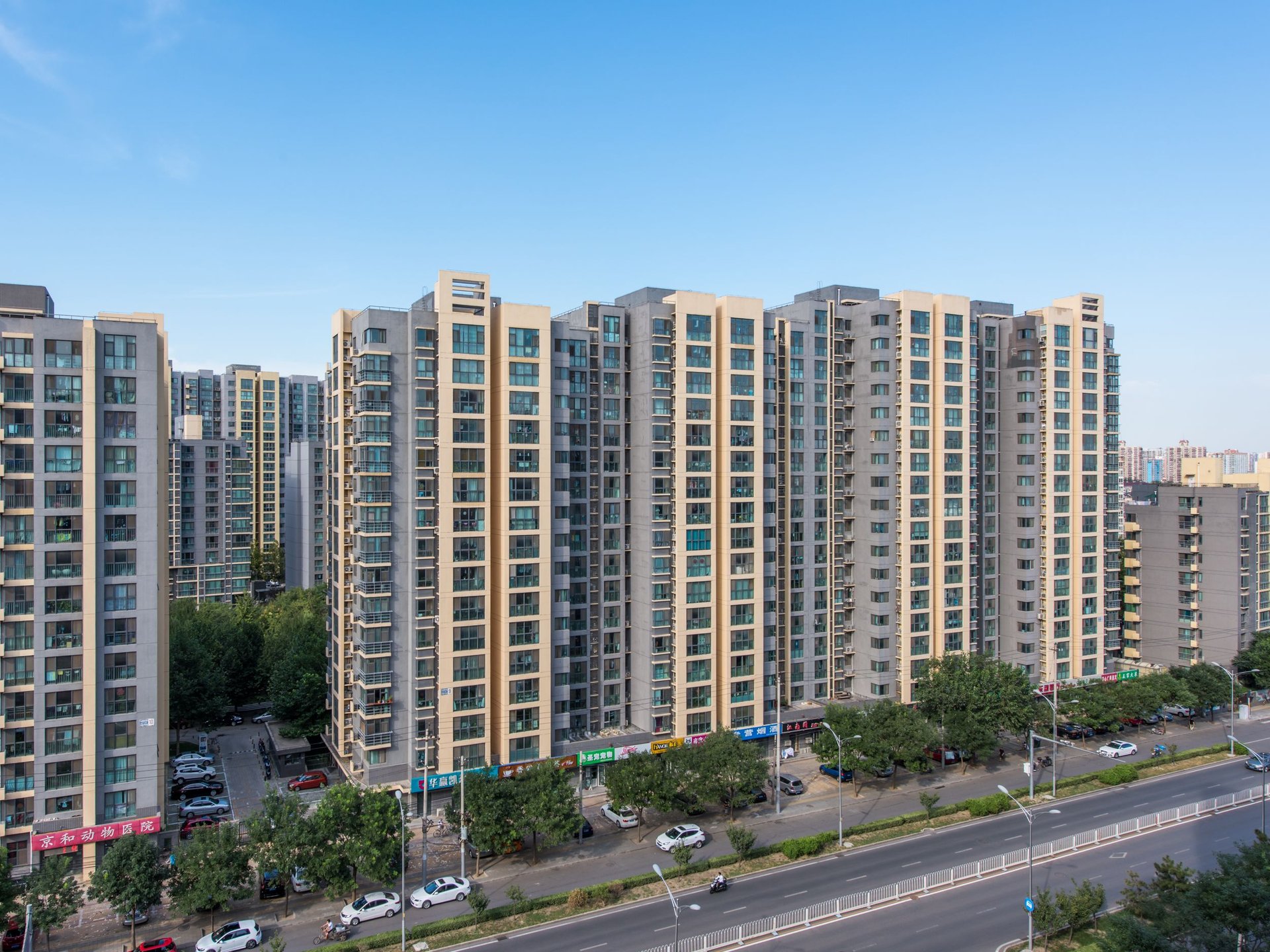 Ocean Nature - beijing expat housing photo 1