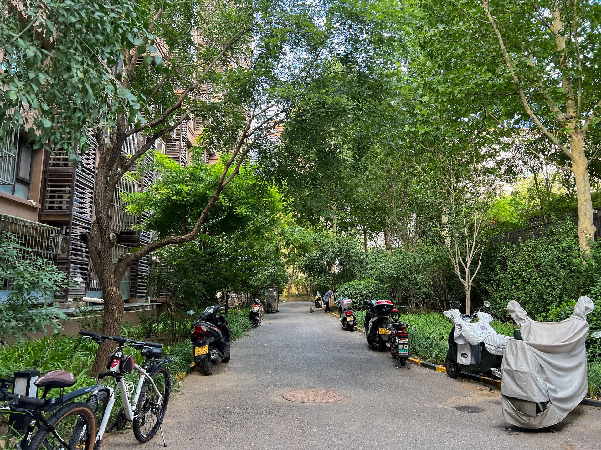 玉璞家园 - Beijing property leasing for expats