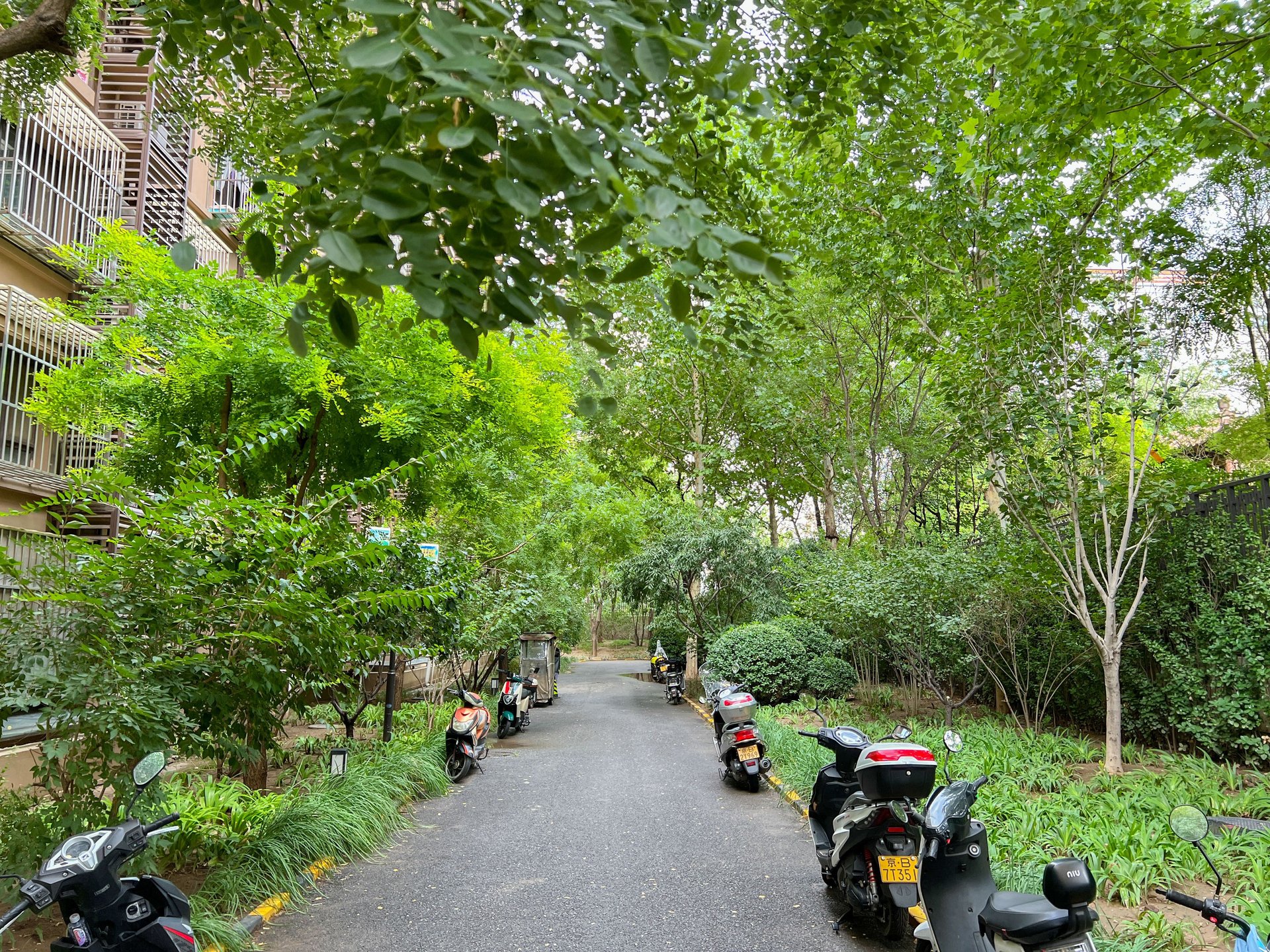 玉璞家园 - Beijing property leasing for expats