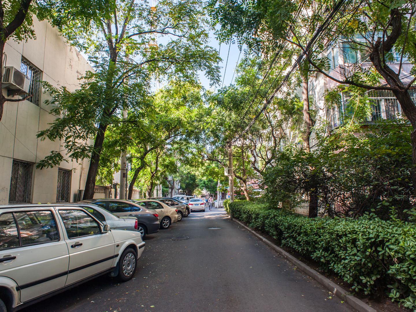 皂君东里 - Beijing property leasing for expats