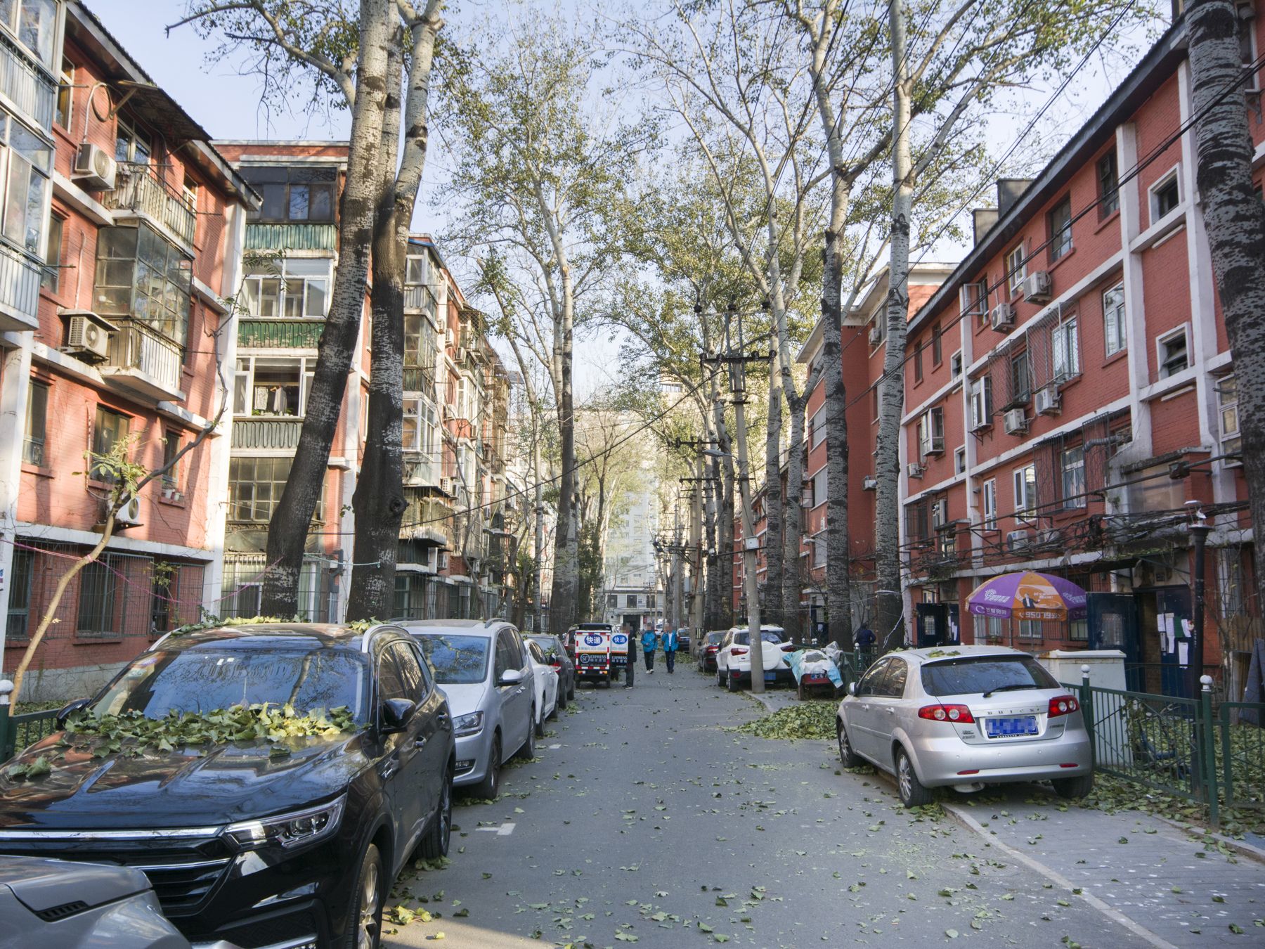 朝阳庵 - Beijing property leasing for expats