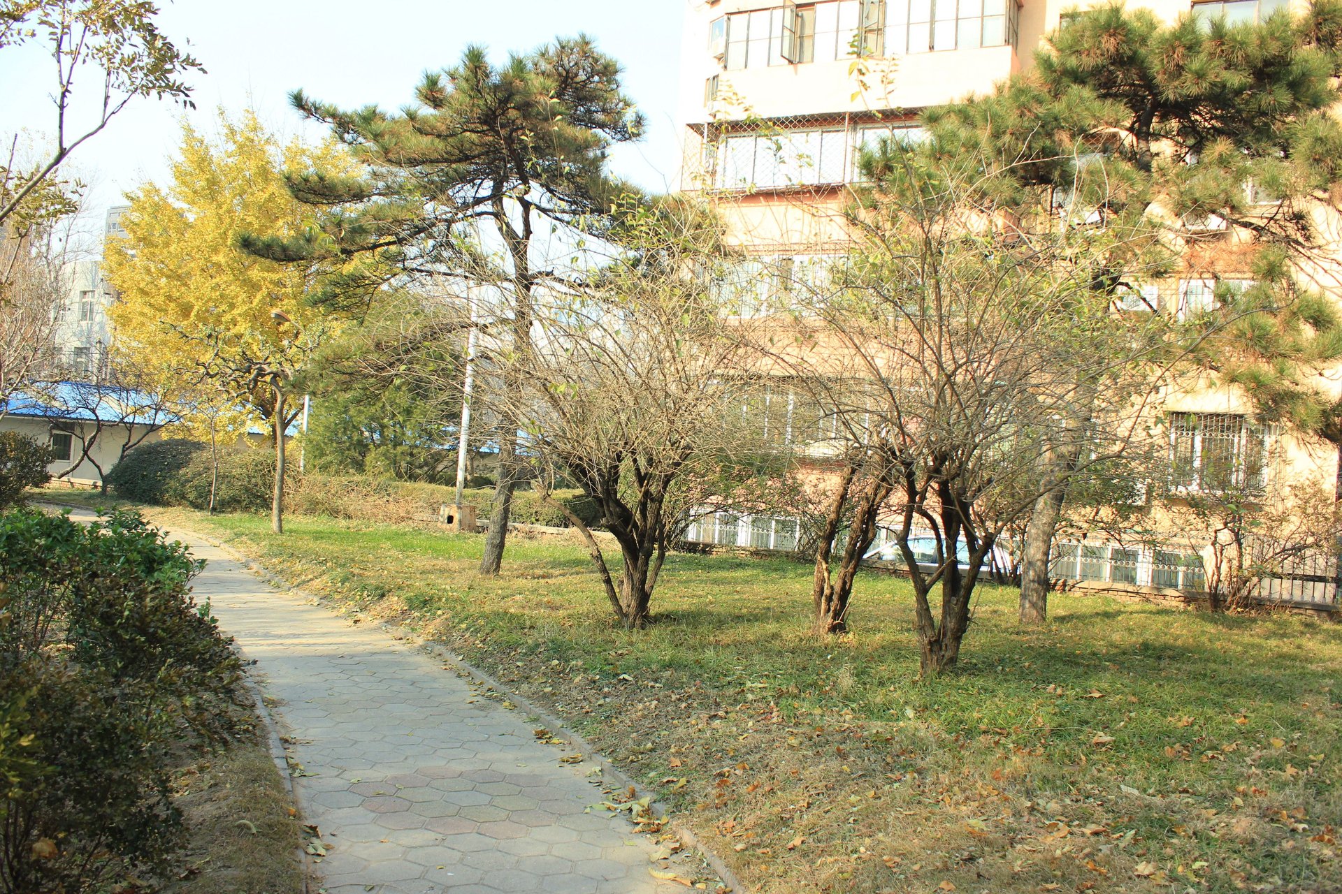 真武庙六里 - Beijing property leasing for expats