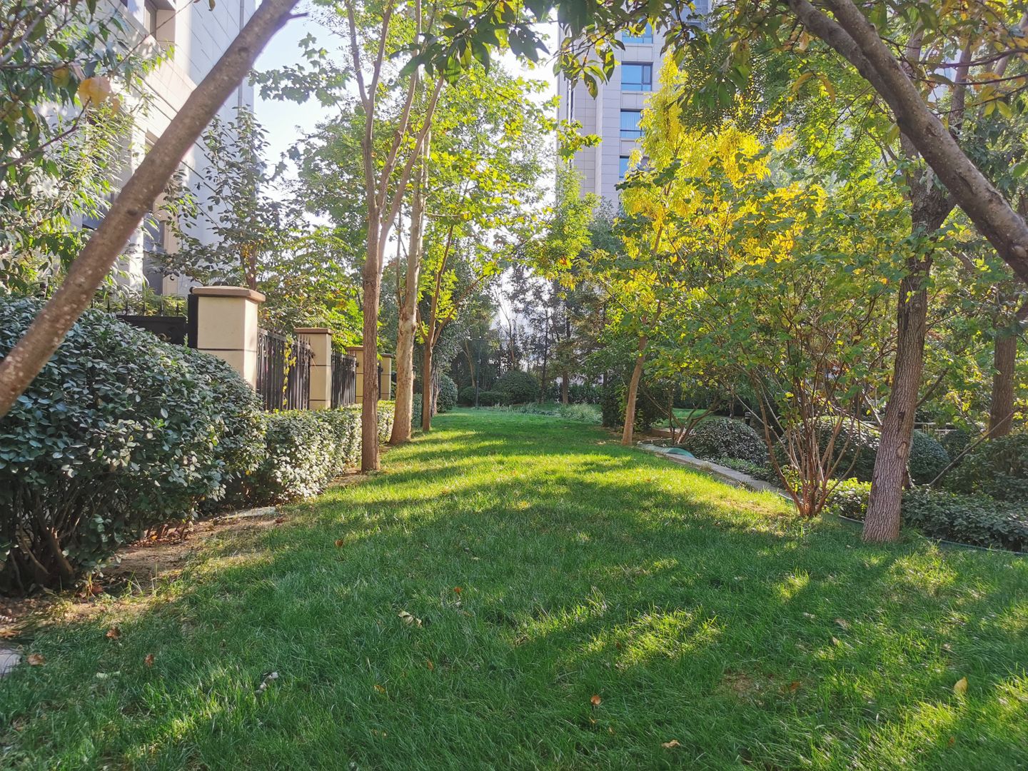 臻园 - Beijing property leasing for expats