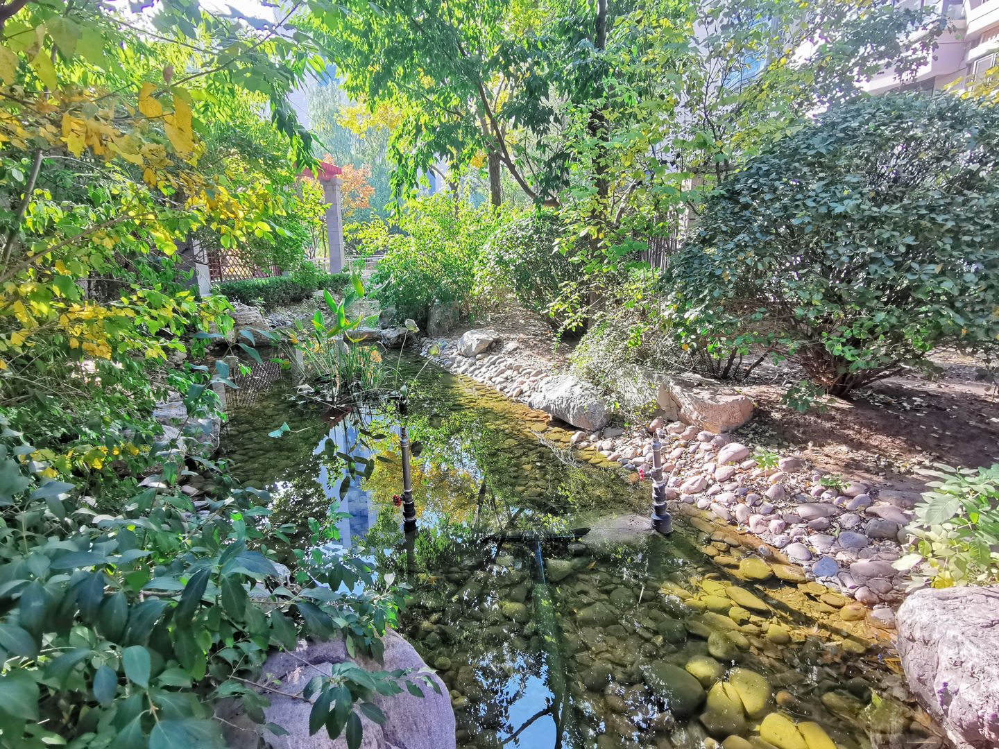 臻园 - Beijing property leasing for expats