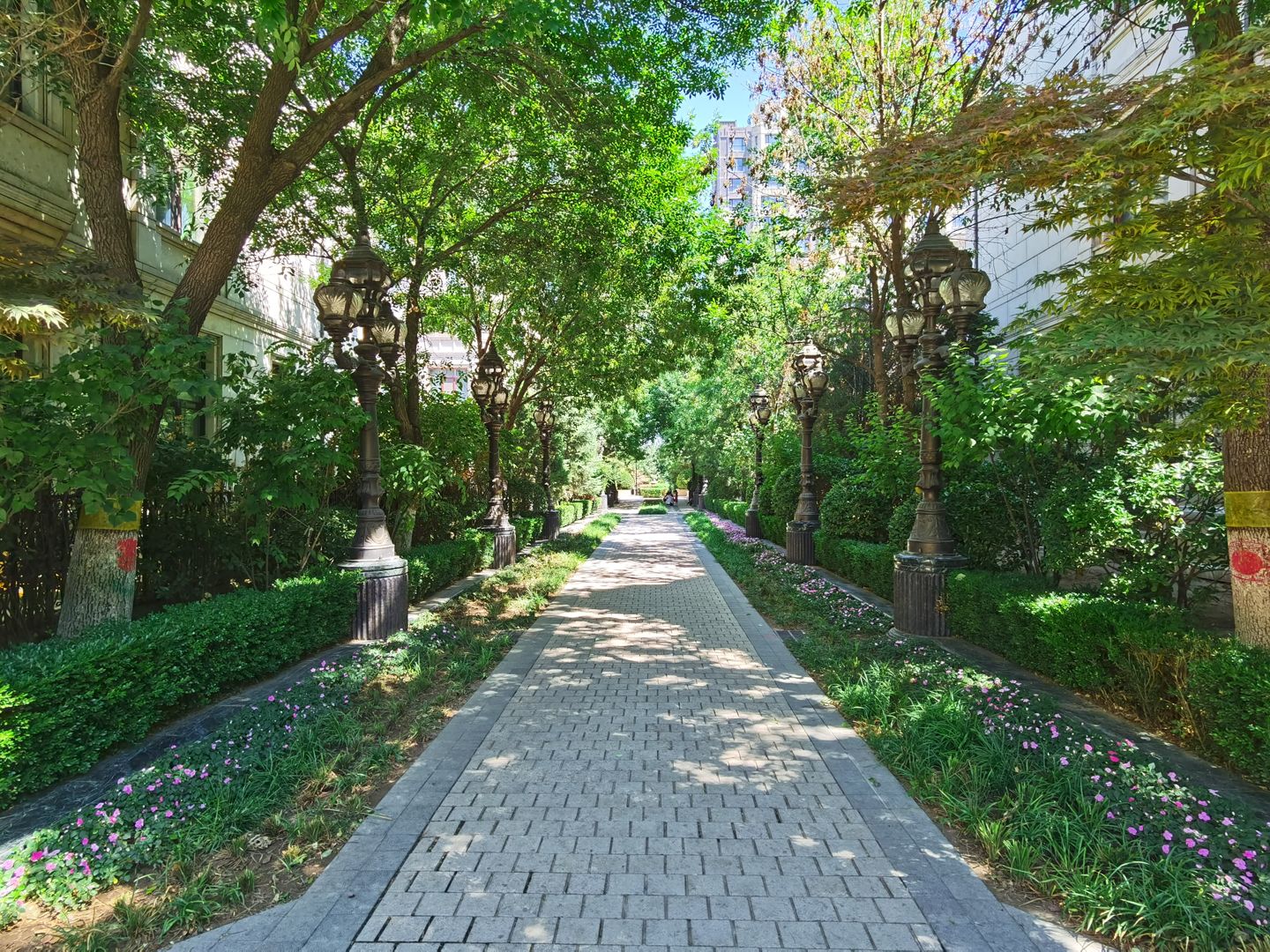 中海九号公馆二区 - Beijing property leasing for expats