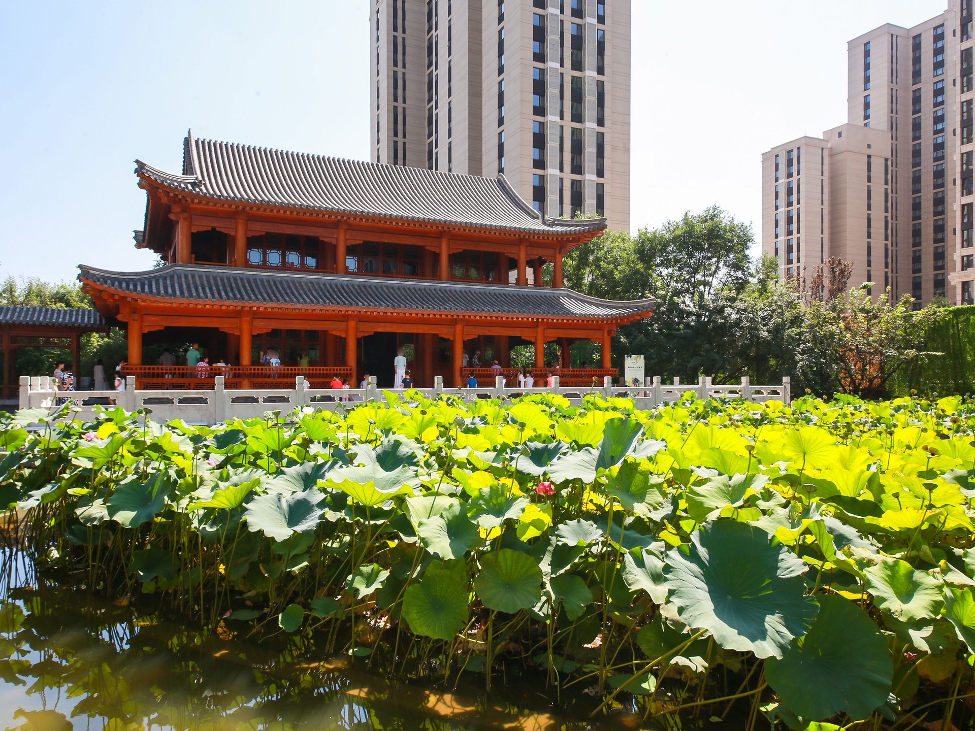 中堂 - Beijing property leasing for expats