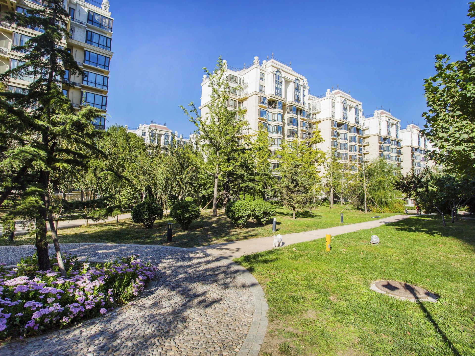 珠江拉维小镇 - Beijing property leasing for expats