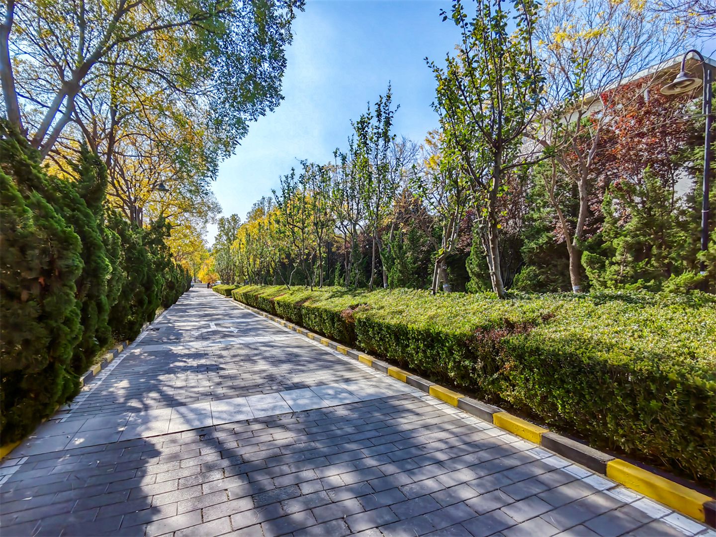 卓锦万代 - Beijing property leasing for expats