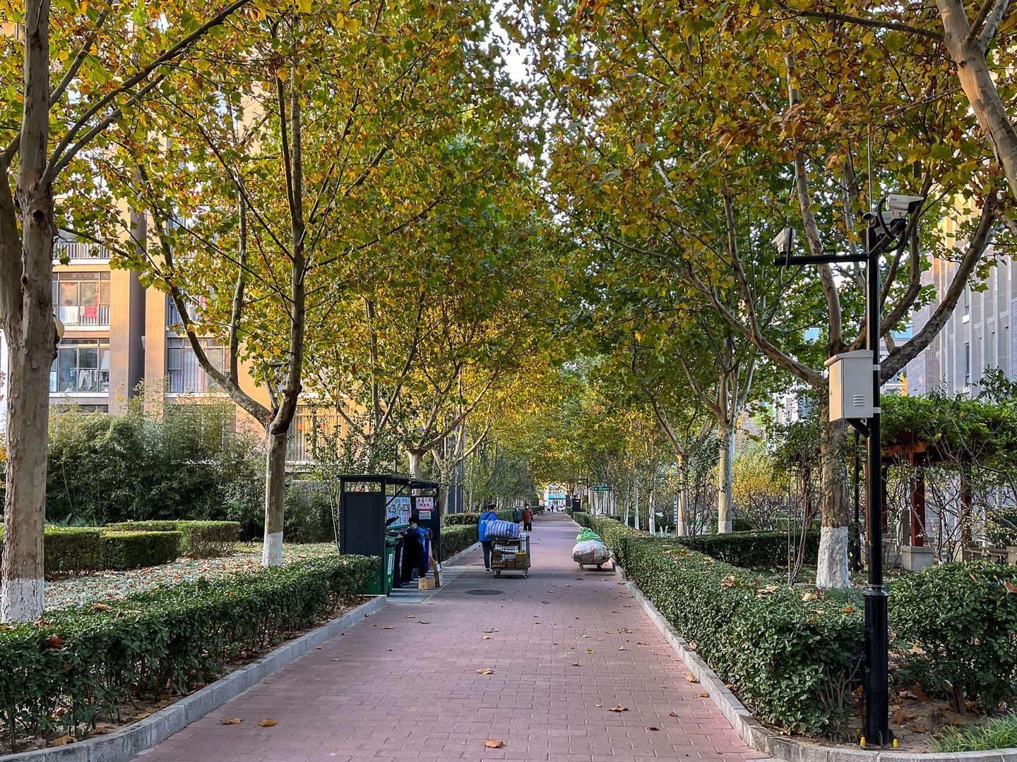 朱雀门 - Beijing property leasing for expats