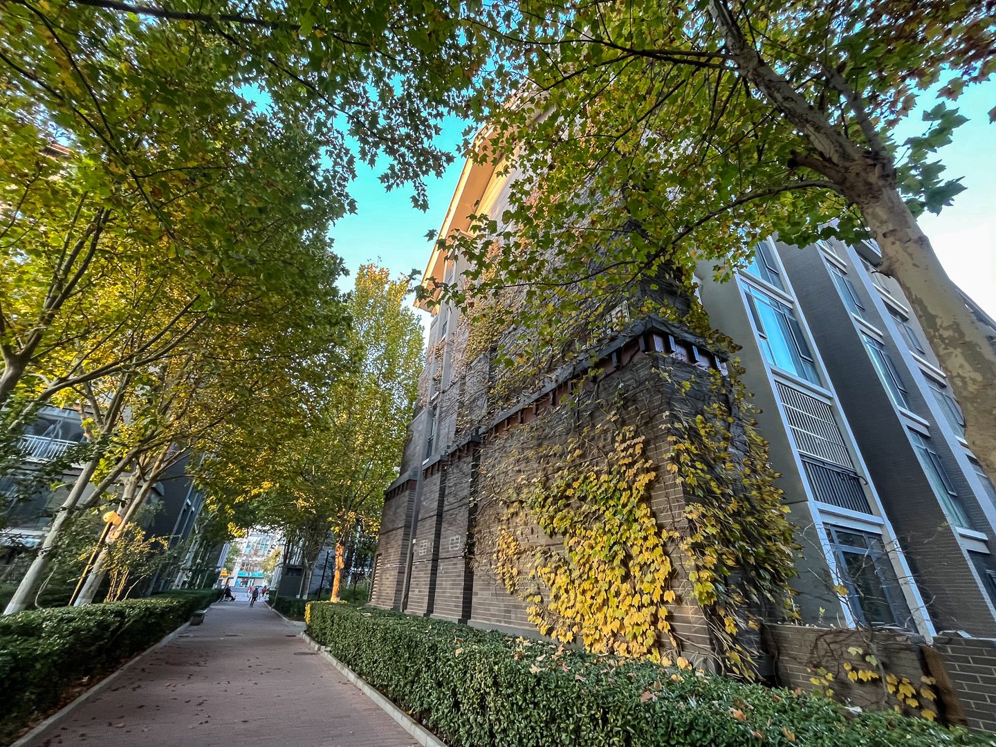 朱雀门 - Beijing property leasing for expats