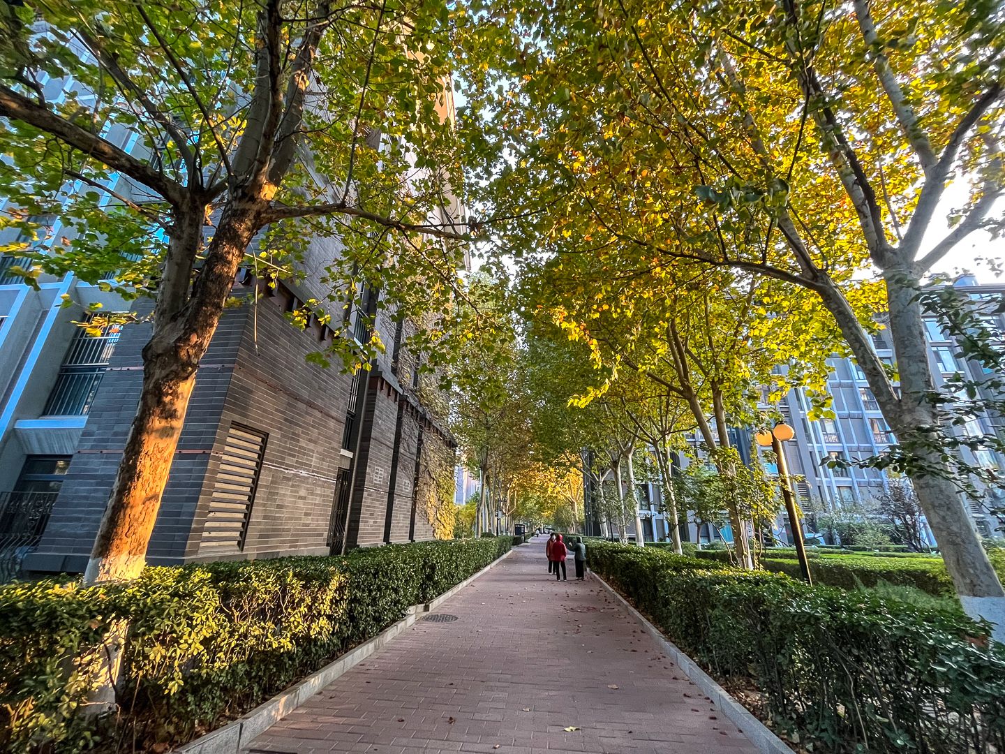 朱雀门 - Beijing property leasing for expats