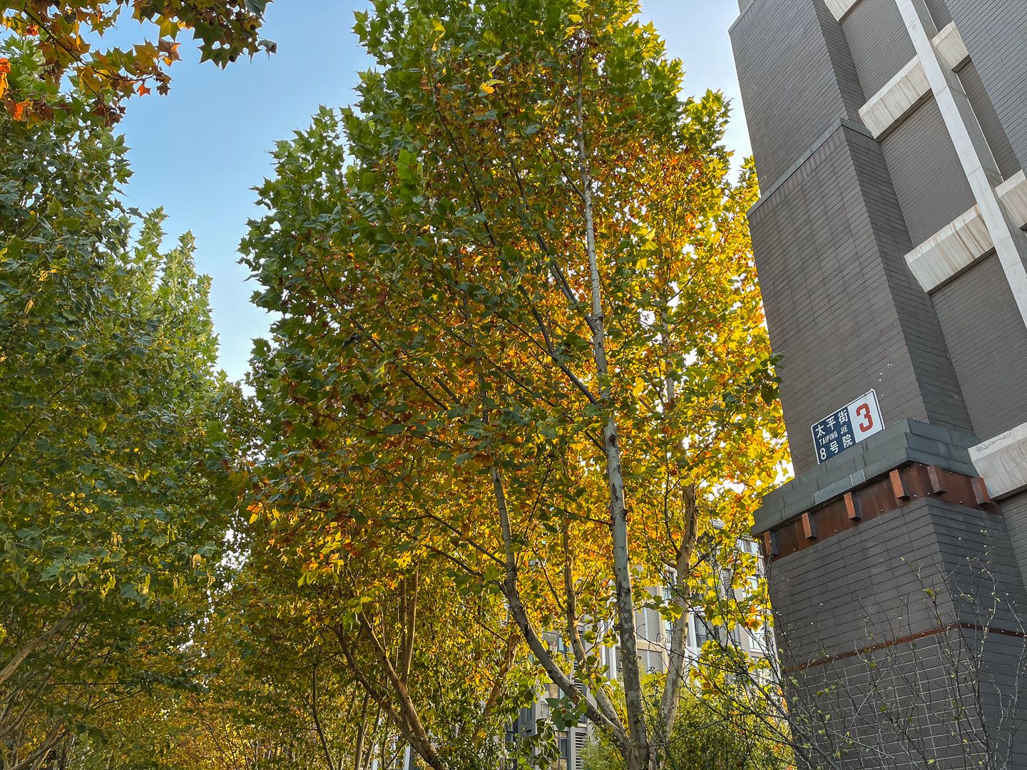 朱雀门 - Beijing property leasing for expats