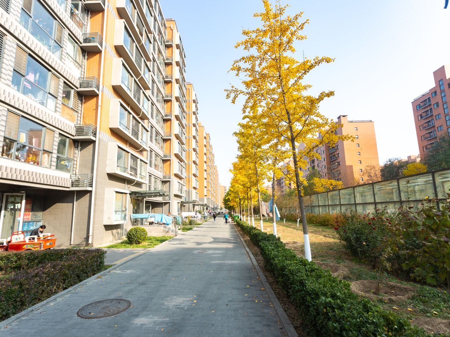 紫金新干线二期 - Beijing property leasing for expats