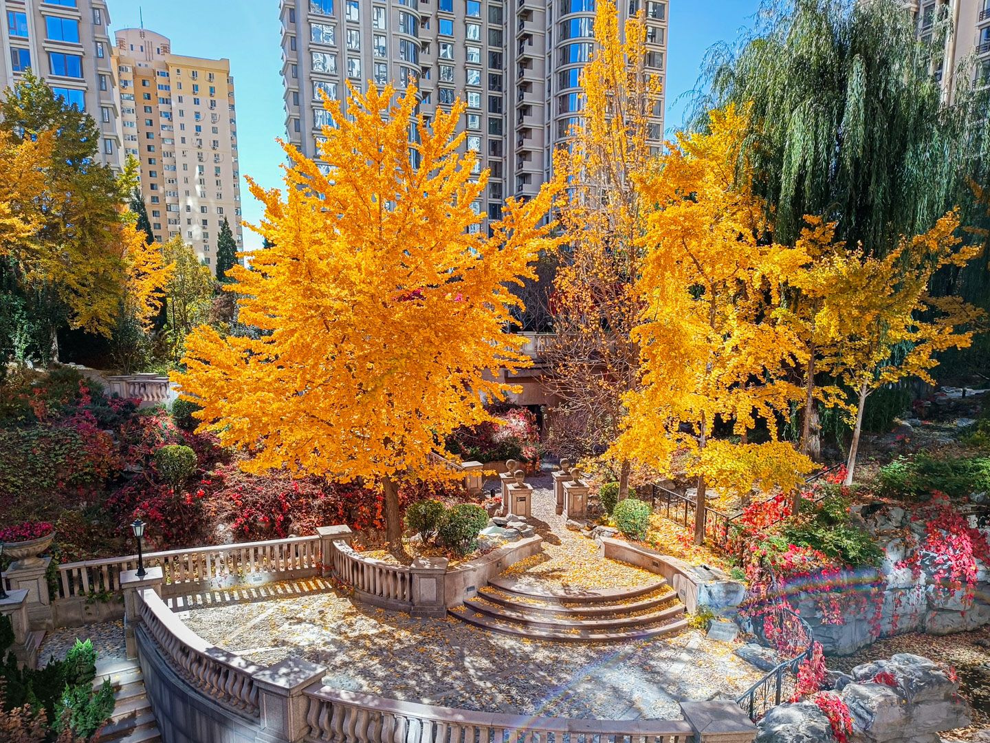 棕榈泉国际公寓 - Beijing property leasing for expats